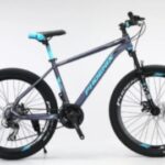 Phoenix Donald 24" 21-Speed Gear Cycle